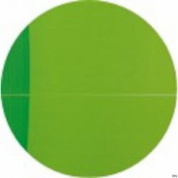 Kołonotatnik Oxford 90x140 mm, 90 kartek, kratka, przezroczysta okładka, spiralny