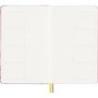 Zestaw MOLESKINE Sakura Maruko 2024, 2 notatniki + saszetka, edycja limitowana