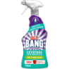 CILLIT BANG Płyn Czystość i Dezynfekcja spray 750ml
