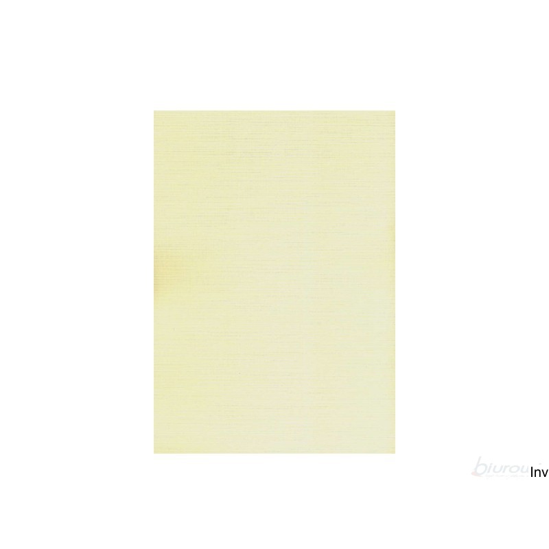 Karton wizytówkowy A4 ecrue kratka W41 246g Kreska