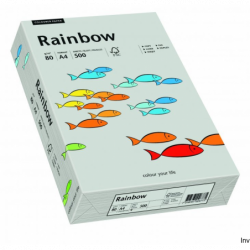 Papier xero kolorowy RAINBOW szary R96 88042805