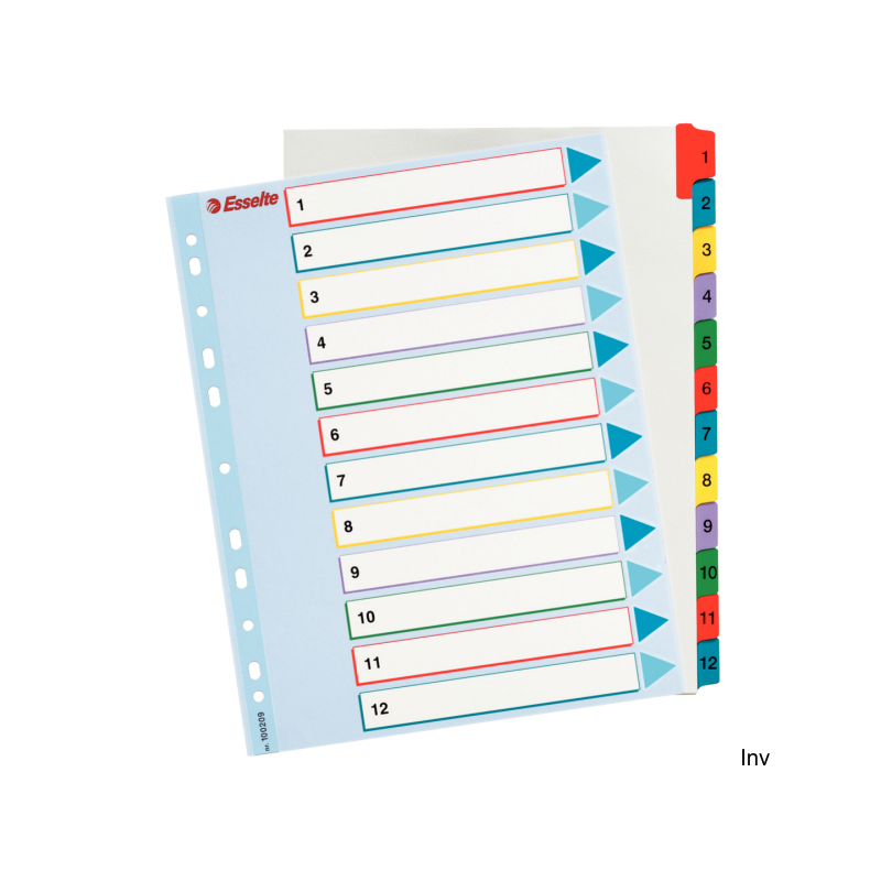 Przekładki kartonowe MYLAR A4 Maxi 1-12 Esselte