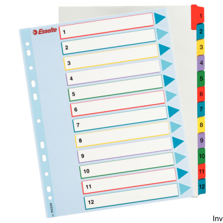 Przekładki kartonowe MYLAR A4 Maxi 1-12 Esselte