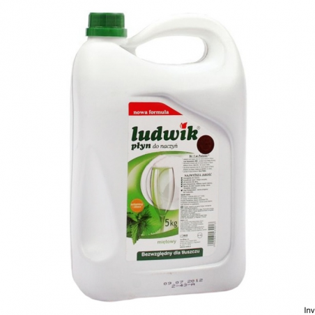 Ludwik Płyn do naczyń miętowy 5L