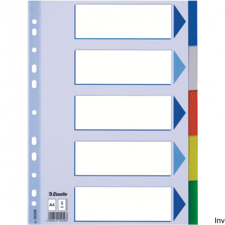 Przekładki plastikowe A4 Esselte 5 kart z kartą informacyjną, multiperforowane