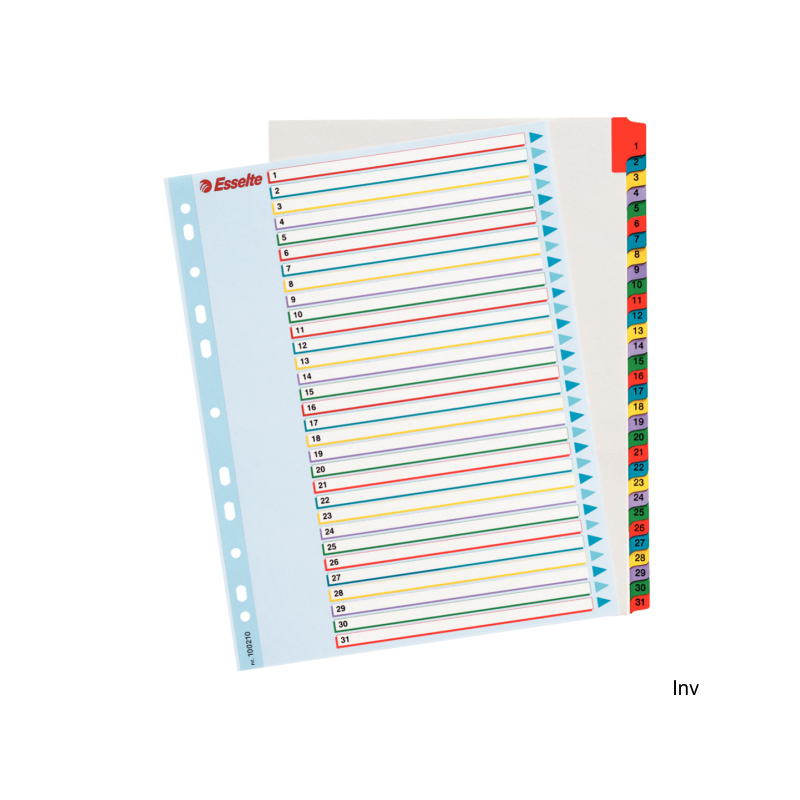 Esselte Przekładki kartonowe MYLAR A4 Maxi 1-31 z kartą do opisu, kolorowe, 1 komplet