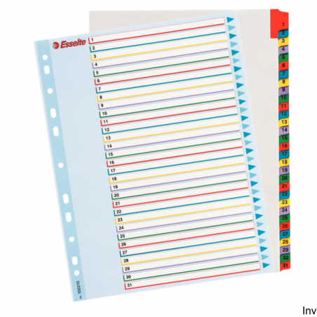 Esselte Przekładki kartonowe MYLAR A4 Maxi 1-31 z kartą do opisu, kolorowe, 1 komplet