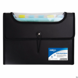 Teczka Strigo VFILE PP A4...
