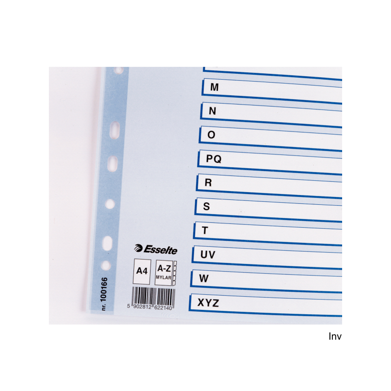 Esselte Przekładki kartonowe Mylar A4 białe 160 g/m z kolorowymi indeksami i kartą informacyjną