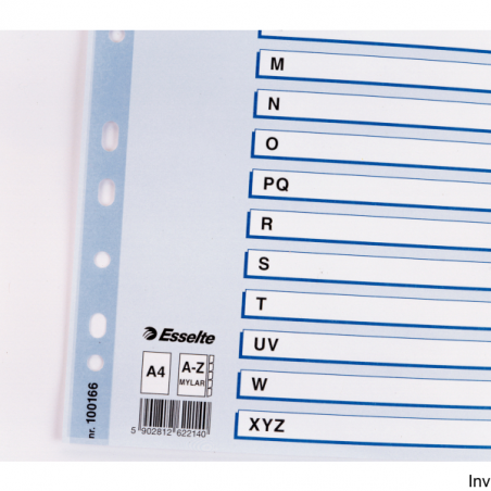 Esselte Przekładki kartonowe Mylar A4 białe 160 g/m z kolorowymi indeksami i kartą informacyjną