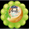 Odświeżacz powietrza General Fresh AROLA GEL FRESH 150g dynia zielona herbata