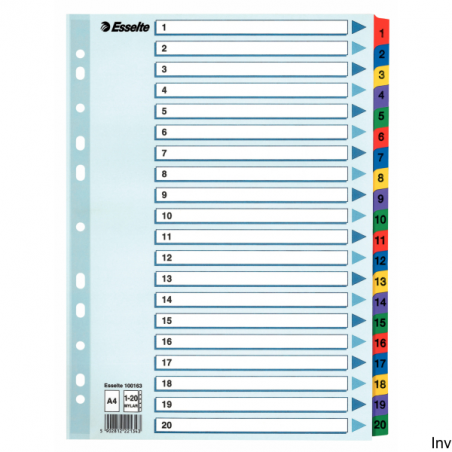 Esselte Przekładki kartonowe Mylar A4 1-20 białe 160 g/m² z kolorowymi indeksami i kartą informacyjną