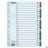 Esselte Przekładki kartonowe Mylar A4 1-20 białe 160 g/m² z kolorowymi indeksami i kartą informacyjną