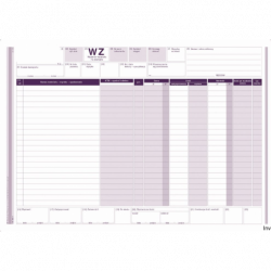 385-1 WZ Wydanie m.na zewn.A4 MICHALCZYK I PROKOP