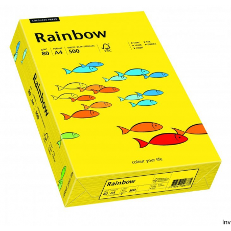 Papier kolorowy A4 80 g ciemnożółty 1 ryza Rainbow