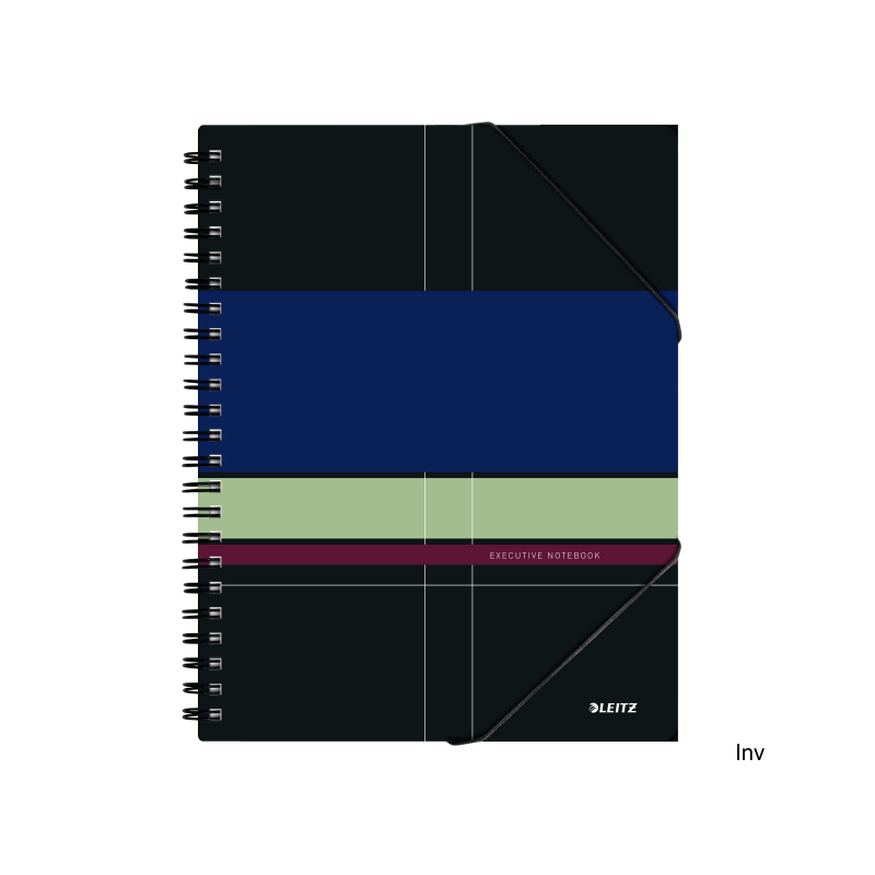 Kołonotatnik Leitz Be Mobile EXECUTIVE A4 kratka 80 kartek 90 gsm PP
