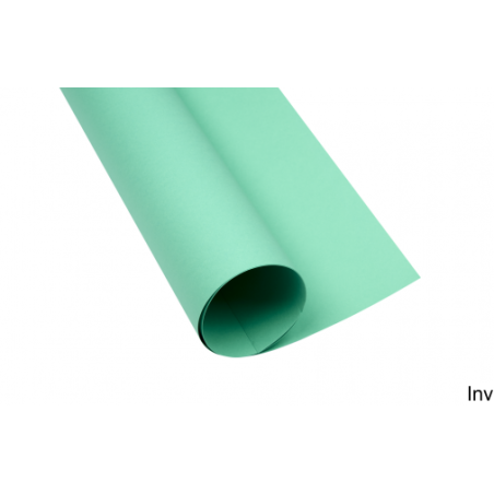 Karton kolorowy zielony 225 g/m2 A4 25 arkuszy Top 2000