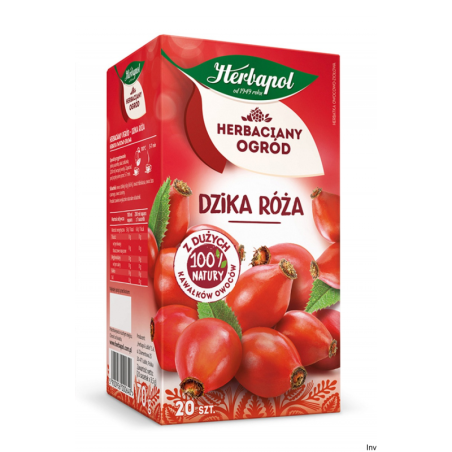 Herbata Herbapol Dzika Róża 20 torebek