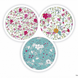 Kołonotatnik A5 60 kartek linia/tagi floral Oxford