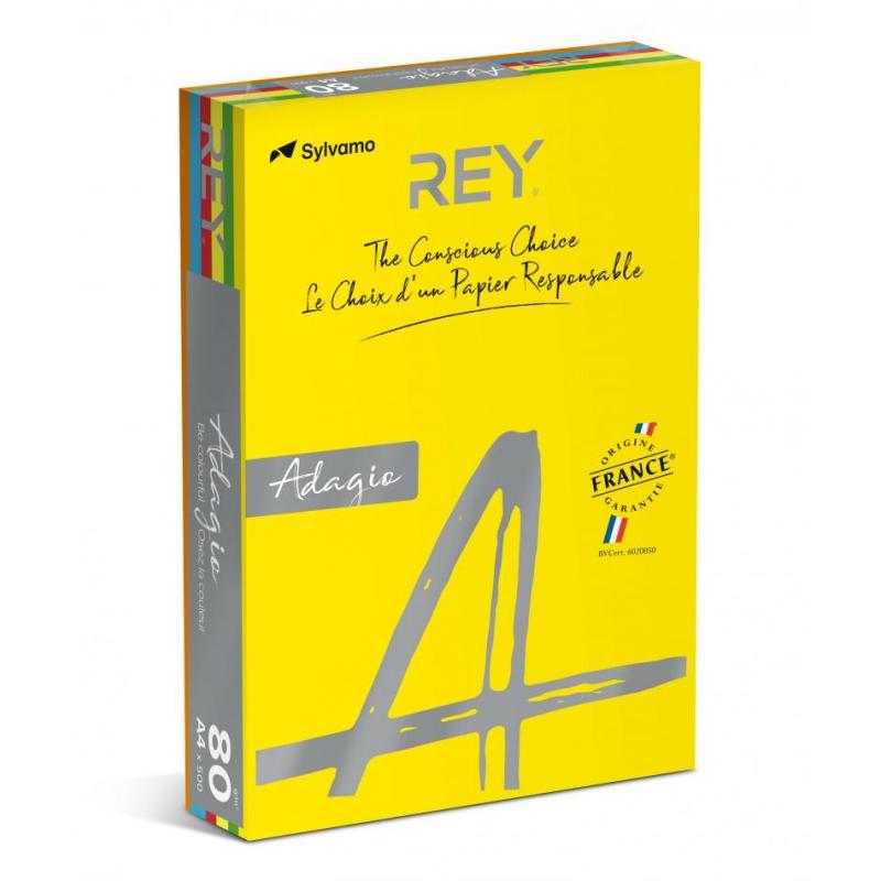 PAKIET Papier ksero REY ADAGIO, A4, 80gsm, mix kolorów intens, *RYADA080X906 R200, 5x100 ark.