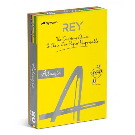 PAKIET Papier ksero REY ADAGIO, A4, 80gsm, mix kolorów intens, *RYADA080X906 R200, 5x100 ark.