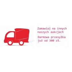 Teczka szklana z gumką A4 Kreska