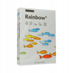 Papier Xero A4 160g szary R96 Rainbow