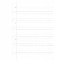 Notatnik A4 2x40 kartek linia/kratka PP flex ladylike butterfli Herlitz
