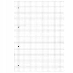 Notatnik A4 2x40 kartek linia/kratka PP flex ladylike butterfli Herlitz