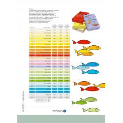 Papyrus Papier Xero A4 160g różowy R55 opakowanie 250 sztuk