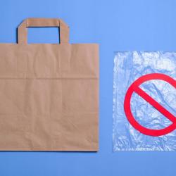 Torba ekologiczna ECOBAG 320x220x250 mm brąz gładki E4111300