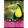 Zeszyt A5 32 kartki krata laminowany St.Majewski EXOTIC COLORS
