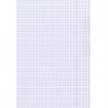 Zeszyt A5 32 kartki krata laminowany St.Majewski EXOTIC COLORS