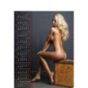 Kalendarz Plakatowy B-1 P14 Dorota 2026 Telegraph