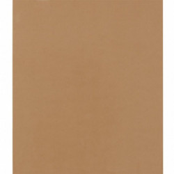 PAKIET Taśma pakowa do magazynowania SCOTCH (309 BRW), mocna, 50mm, 66m, brązowa