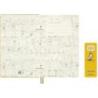 Notes MOLESKINE Peanuts Patty 2025, L, 13x21cm, w linie, edycja limitowana