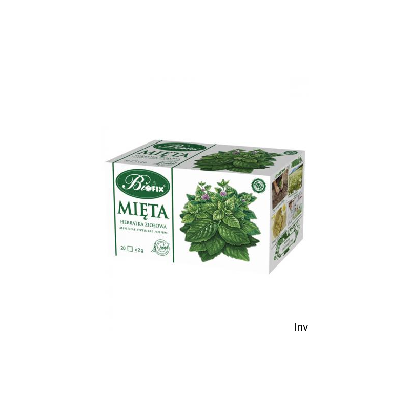 Herbata Biofix Mięta 20 kopert wspomagająca trawienie