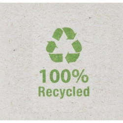 Karteczki ekologiczne POST-IT Z-Notes (C2014Y12-1), 76x76mm, 12x100 kart., żółte + podajnik GRATIS