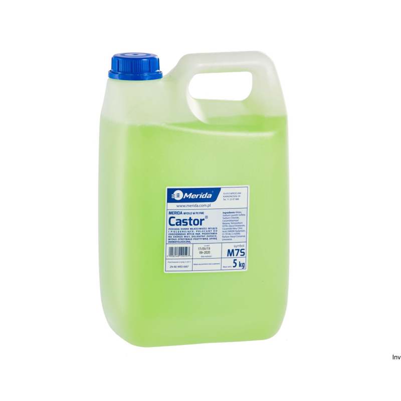 Mydło w płynie MERIDA CASTOR seledynowe 5kg