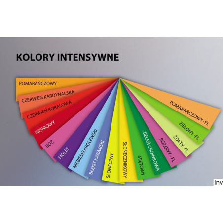 Papier xero A4 160g fioletowy 250 arkuszy Clairefontaine