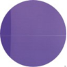 Kołonotatnik A4 90 kartek kratka MY COLOURS Oxford z elastyczną okładką i białą spiralą