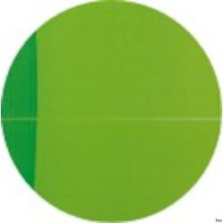 Kołonotatnik A4 90 kartek kratka MY COLOURS Oxford z elastyczną okładką i białą spiralą