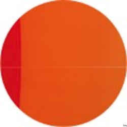 Kołonotatnik A4 90 kartek kratka MY COLOURS Oxford z elastyczną okładką i białą spiralą