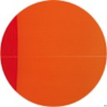 Kołonotatnik A4 90 kartek kratka MY COLOURS Oxford z elastyczną okładką i białą spiralą