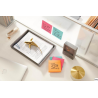 Bloczek samoprzylepny Post-It 3M Super Sticky w linie 101x101mm, 3x70 sztuk, mix kolorów paleta Miami