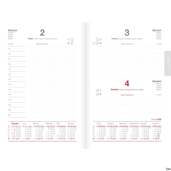 Kalendarz Herlitz Standard Szefa DTP B5 czarny