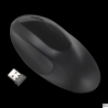 Kensington Bezprzewodowa mysz Pro Fit Ergo K75404EU z podparciem nadgarstka, 128-bitowym szyfrowaniem, czarna