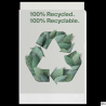 Folder groszkowy Esselte Recycled Premium PP 100 mic. A4 opakowanie 100 sztuk