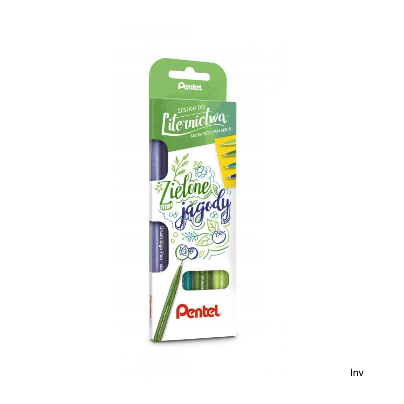 Zestaw pisaków pędzelkowych do kaligrafii Pentel Brush SignPen 4 sztuki