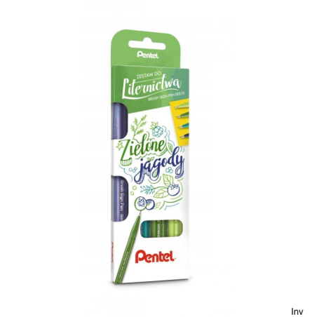 Zestaw pisaków pędzelkowych do kaligrafii Pentel Brush SignPen 4 sztuki